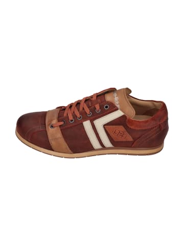 Kamo-Gutsu Sneaker Low TIFO 030               in bunt