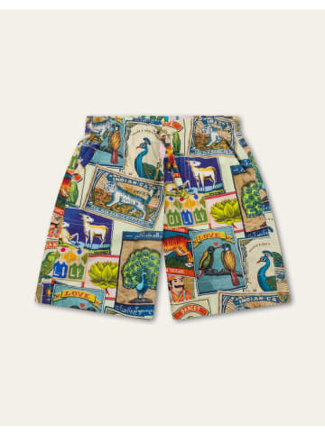 Oilily Patt Short in Grün