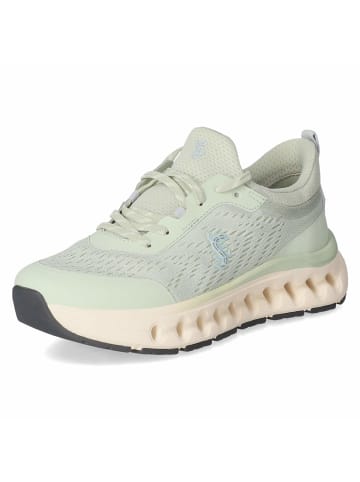 SALAMANDER Schnürhalbschuh in grün