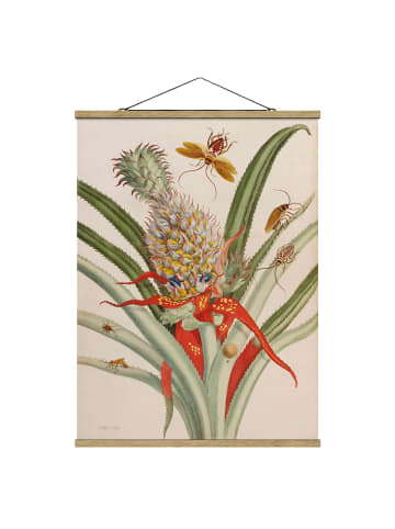 WALLART Stoffbild - Anna Maria Sibylla Merian - Ananas mit Insekten in Grün