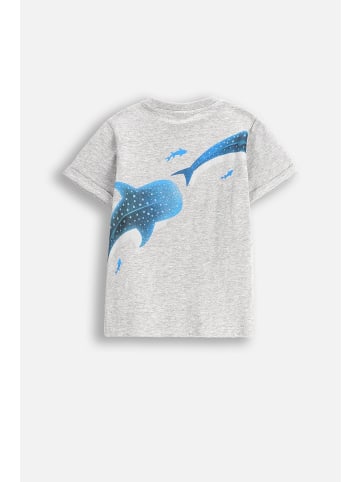 Coccodrillo T-Shirt mit kurzen Ärmeln in grau