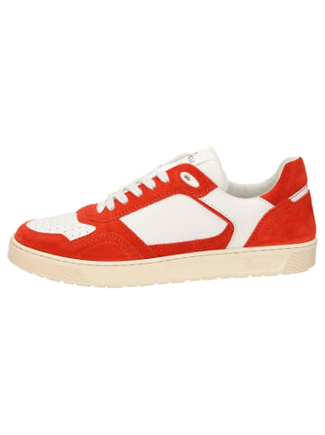 Sioux Sneaker Tedroso-704 in rot