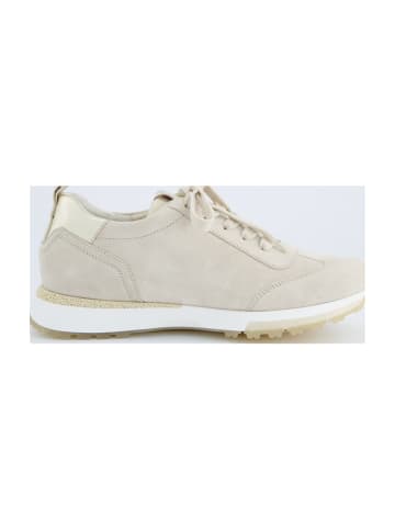 Paul Green Sportliche Schnürschuhe in Beige