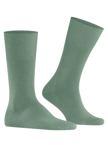 Falke Socken Airport in Sage