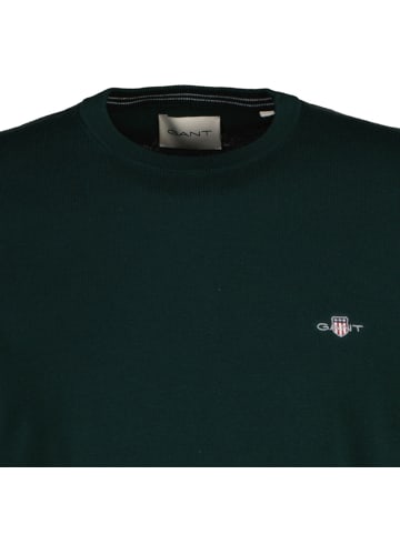 Gant Strickpullover in Dunkelgrün