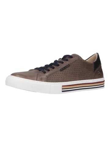 Bullboxer Sneaker in Grau