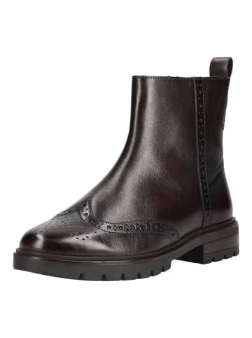 ara Stiefelette CAMBRIDGE-ST. Dunkelbraun