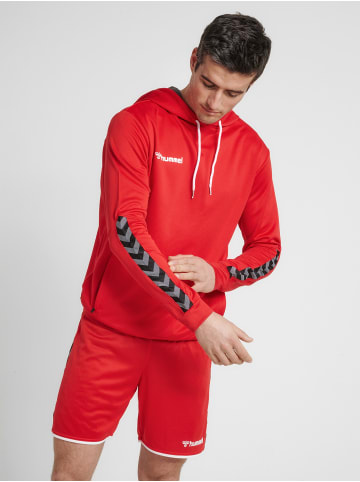 Hummel Kapuzenpullover Hmlauthentic Herren in TRUE RED