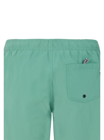 Protest " CULTURE JR in Frosty Green