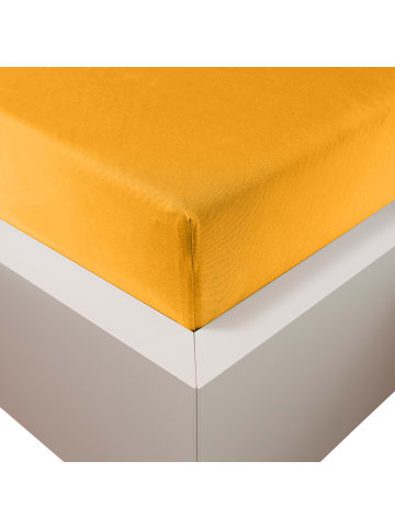 Traumschloss Premium Plus Edel-Jersey Spannbettlaken in gold