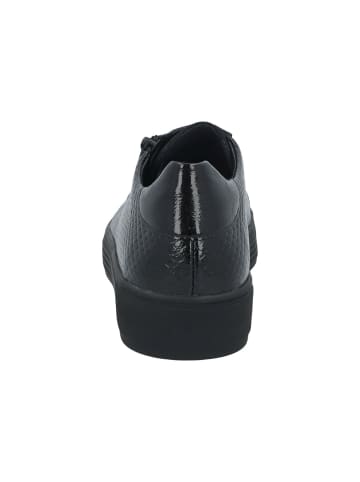 Solidus Schnürschuh Hazel in Schwarz