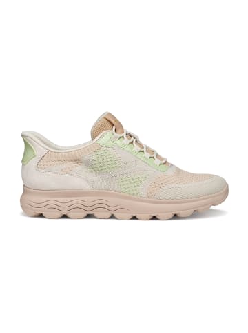 Geox Sportliche Schnürschuhe in Beige