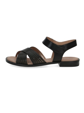 Caprice Sandalen schwarz