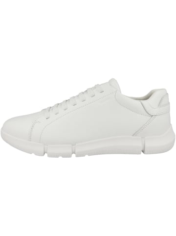 Geox Sneaker low U Adacter A in weiss