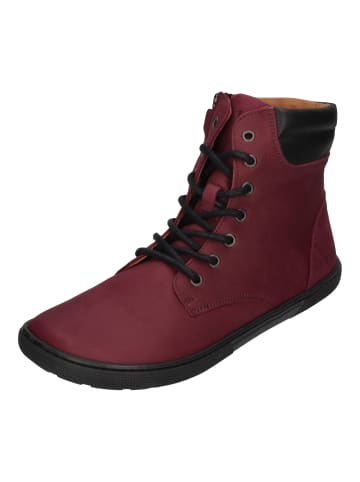 KOEL Stiefeletten Florence in rot