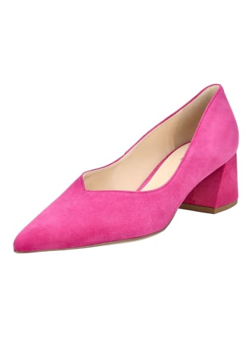 Högl Pumps in Fuchsia