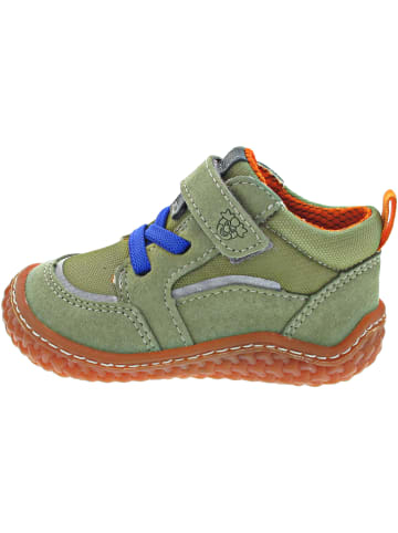 Ricosta PATSY Lauflern Grün