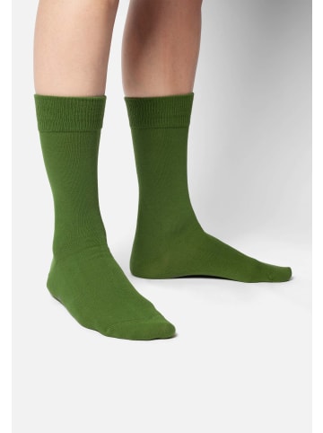 DillySocks Socken D-Compose 2er Set in green