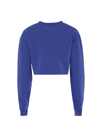 NALLY Sweatshirt in Kobalt