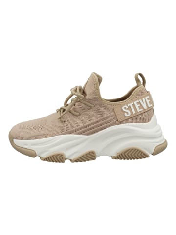 Steve Madden Sneaker in Sand