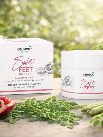 GEHWOL Soft Feet Butter für samtweiche Füsse, 100 ml