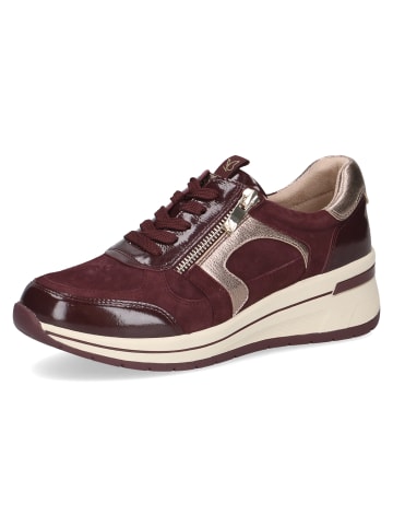 Caprice Slipper Sneaker in bordo