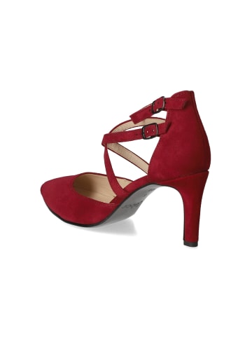 Gabor Pumps in Rot