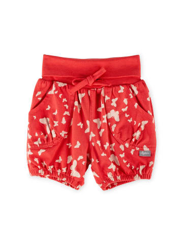 Sigikid Bermuda Jersey Shorts Butterfly in rot