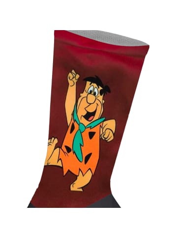 Jenes Socks Socken in Multicolored