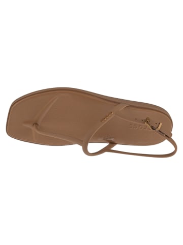 Crocs Crocs W Miami Thong Flip in Braun