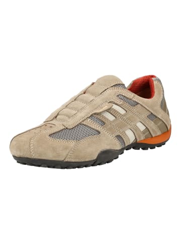 Geox Sneaker in Beige/Orange
