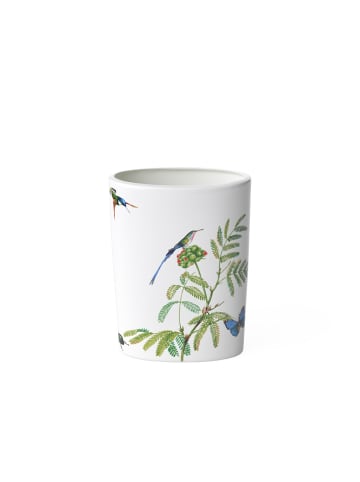 Villeroy & Boch Vase Amazonia in bunt