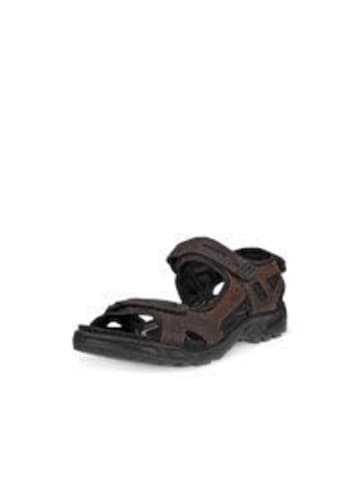 Ecco Herren- Sandalen  in Braun