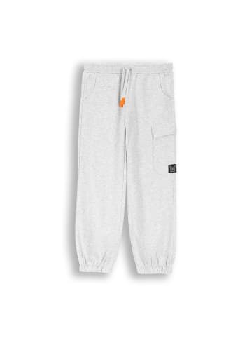 Coccodrillo Jogginghose in grau
