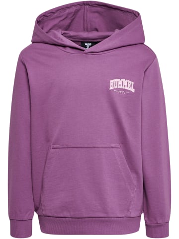 Hummel Kapuzenpullover Hmlfast Kinder in ARGYLE PURPLE