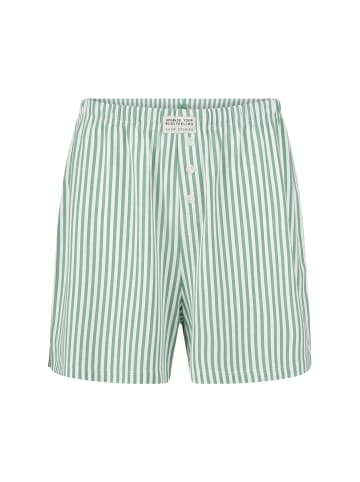 SHORT STORIES Schlafshorts in Grün