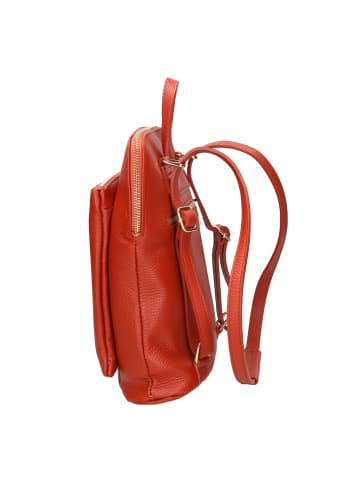 Gave Lux Rucksack in D61 BRICK