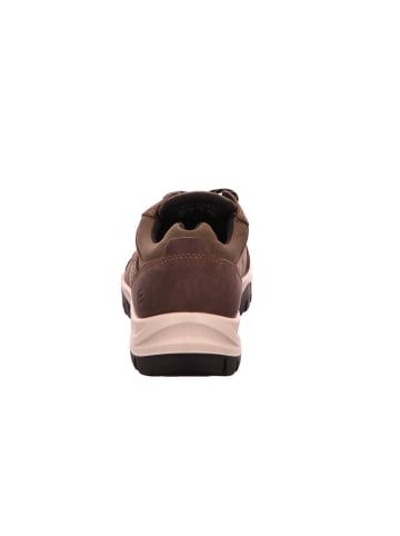 Ecco Schnürschuhe in braun/braun