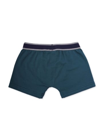 Band of Rascals Unterhose " Signature " in racing-green-navy