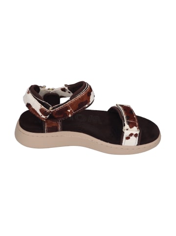 WODEN Sandalen LINE ANIMAL WL673 in bunt