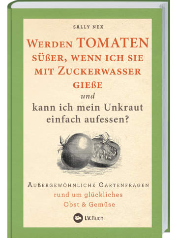 Landwirtschaftsverlag Werden Tomaten süßer, wenn ich sie mit Zuckerwasser gieße