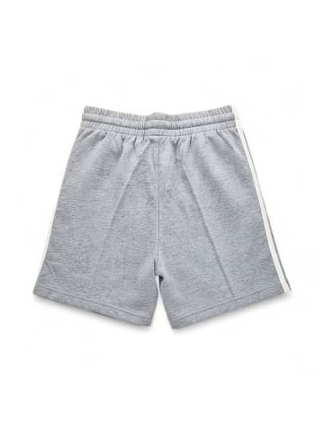 Fleece-Shorts Colorblock in Grau