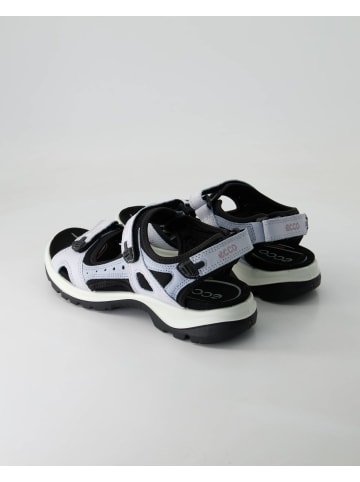 Ecco Sandalen in Blau