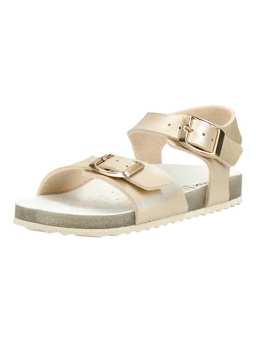 Geox Sandalen in Platinum
