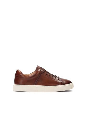 Kazar Sneaker Low in Braun