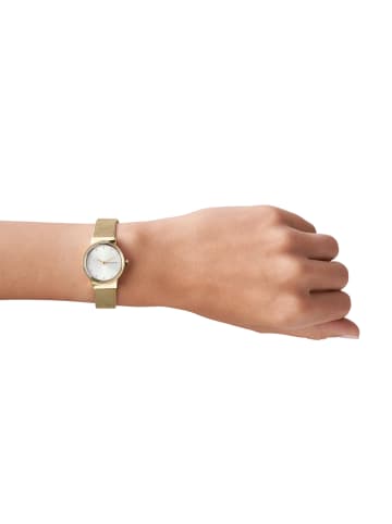 Skagen Armbanduhr in gold