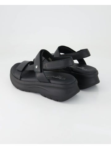 PANAMA JACK Sandalen in Schwarz