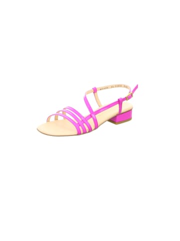 Paul Green Riemchen Sandalen für Damen in pink