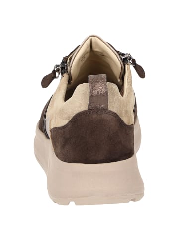 Sioux Sneaker Sunivla-702-J in braun