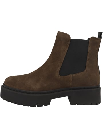 Steve Madden Chelsea Boots Glennis in dunkelbraun